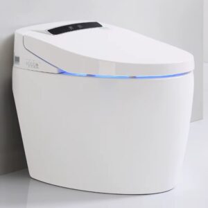 Automatic Open, Self-Cleaning Ceramic WC